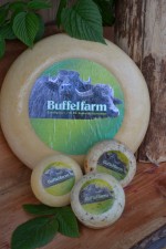 Buffelkaas Buffelkaas