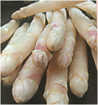 Asperges Asperges